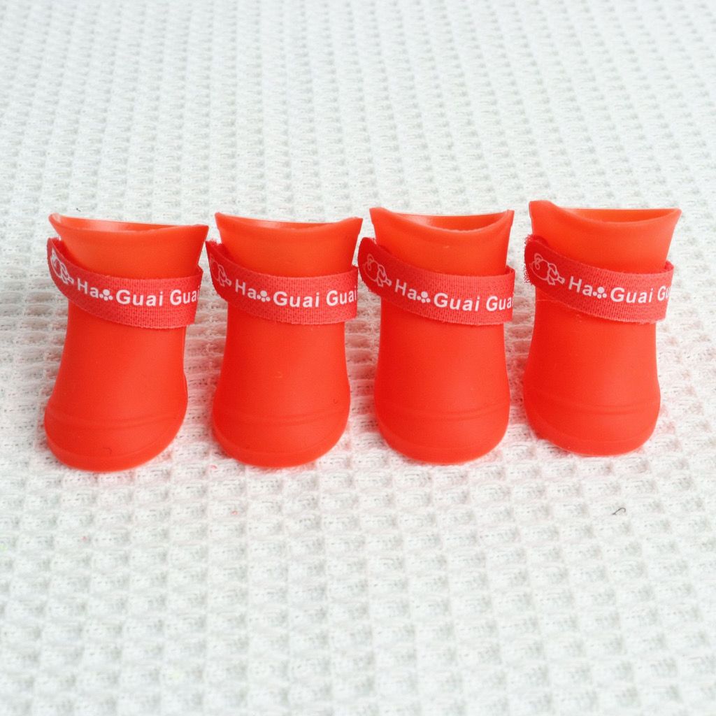  Giày đi mưa cho pet 