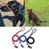  Dây dắt vòng cổ tập đi dạo cho chó 