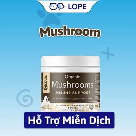  BỘT NẤM HỮU CƠ HỖ TRỢ HỆ MIỄN DỊCH CHÓ MÈO – FERA PETS ORGANICS 