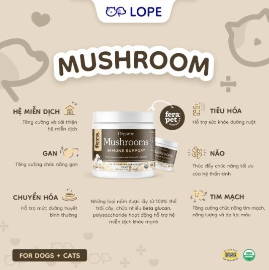  BỘT NẤM HỮU CƠ HỖ TRỢ HỆ MIỄN DỊCH CHÓ MÈO – FERA PETS ORGANICS 