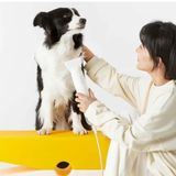  Máy sấy lông Pet Dryer F1 