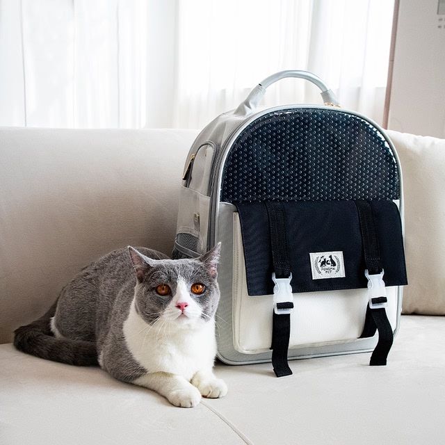  Balo vận chuyển Oxford - Pengpai Pet 