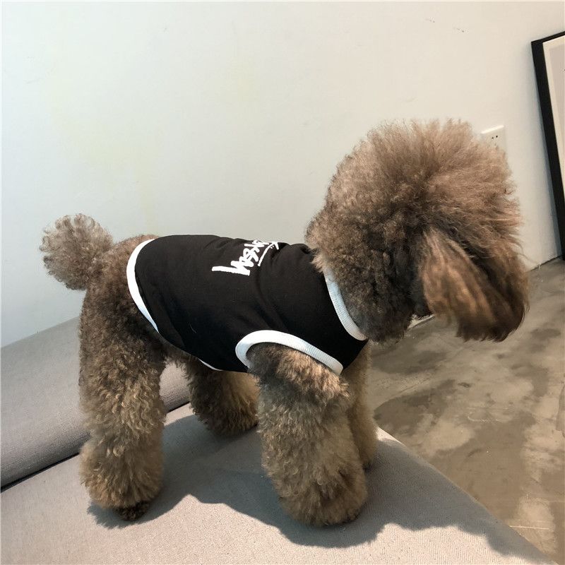  Áo thun Stussy cho thú cưng 