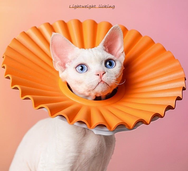  Vòng chống liếm không thấm nước 