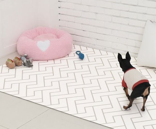  Thảm nhảy chống trượt Dfang 