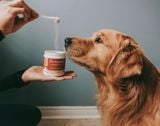  BỘT HỖ TRỢ MEN TIÊU HÓA PROBIOTICS CHO CHÓ MÈO – FERA PETS ORGANICS 