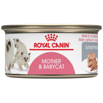  Pate cho mèo Mother&Baby Cat Royal Canin 