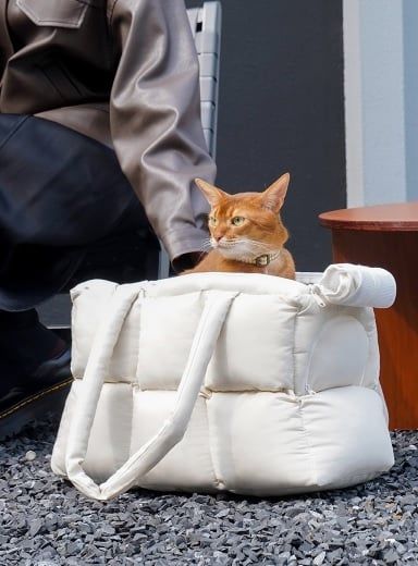  Túi Phao Thú Cưng Zeze Cat 