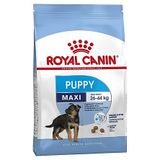  Thức ăn chó con (Maxi size) Royal Canin 4kg 