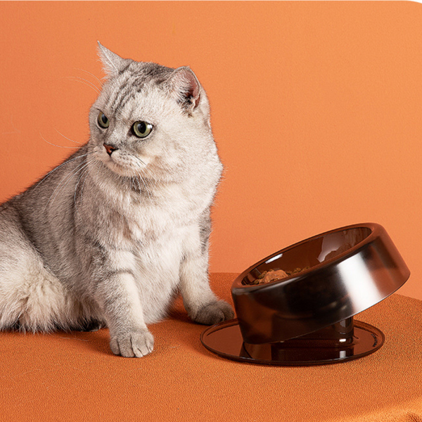  Chén ăn đơn điều chỉnh độ nghiêng 