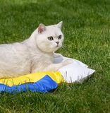  Nệm mát BeerCool cho thú cưng 