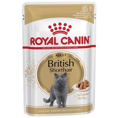  Pate mèo British Shorthair Royal Canin 