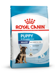  Royal Canin Puppy Maxi - Hạt cho cún con cỡ lớn 