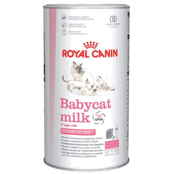  Sữa bột mèo con Royal Canin 
