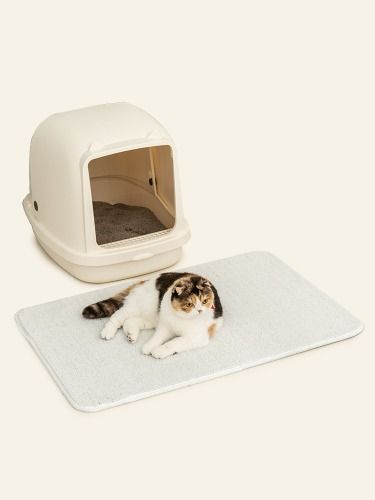  Thảm cho mèo hạn chế bám cát Dfang 