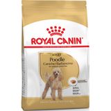  Poodle Adult Royal Canin - Thức ăn cho chó Poodle trưởng thành 