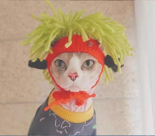  Nón Len Chỏm Tóc Hóa Trang Cho Thú Cưng 