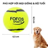  Combo 2 bóng tennis FOFOS 