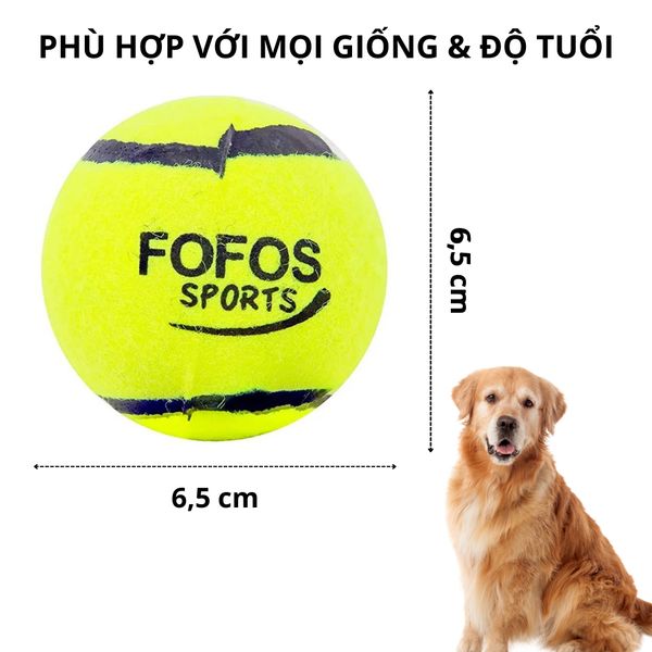  Combo 2 bóng tennis FOFOS 
