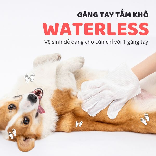  Găng tay tắm khô FOFOS 