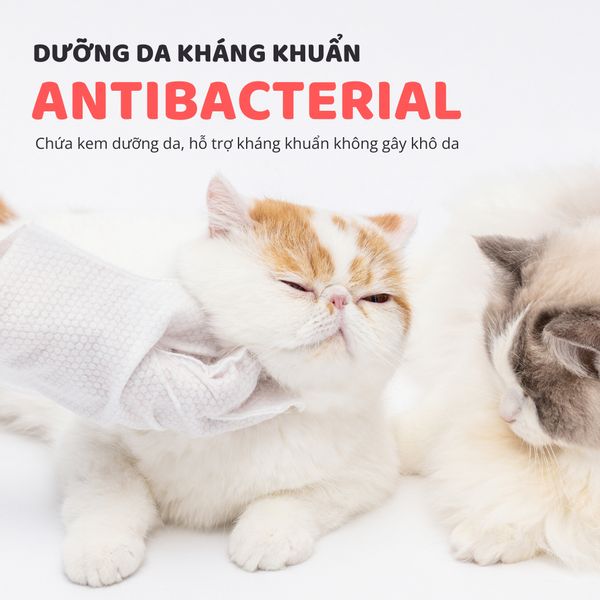  Găng tay tắm khô FOFOS 