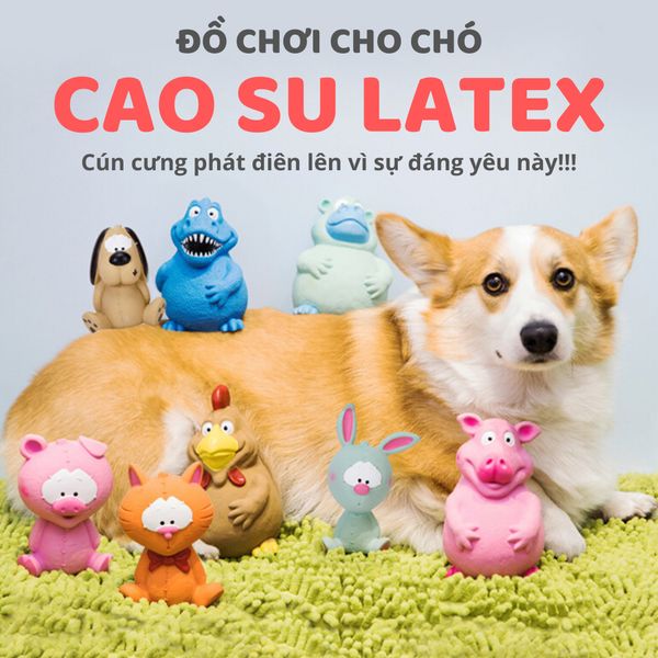  Đồ chơi cao su Latex FOFOS 