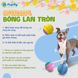  Cuper Ball - Bóng lăn tròn Pupdy 