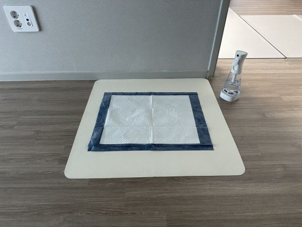  Thảm vệ sinh cho thú cưng DFANG 