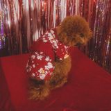  Áo Bloom Kimono Pawsee 