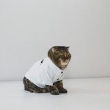  Áo Polo CDG Pawsee 