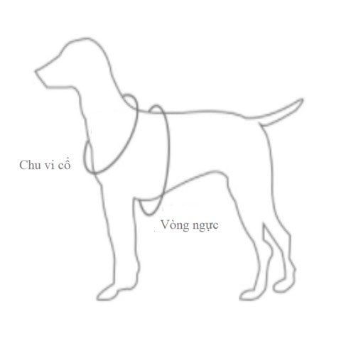  Áo len Dior cho thú cưng 