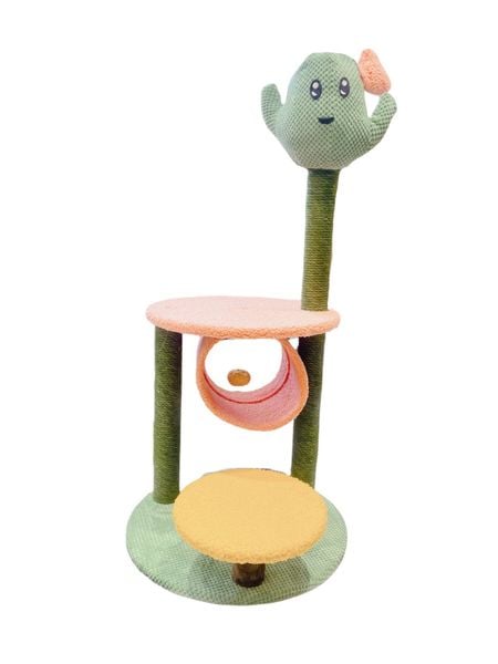  Catree xương rồng 