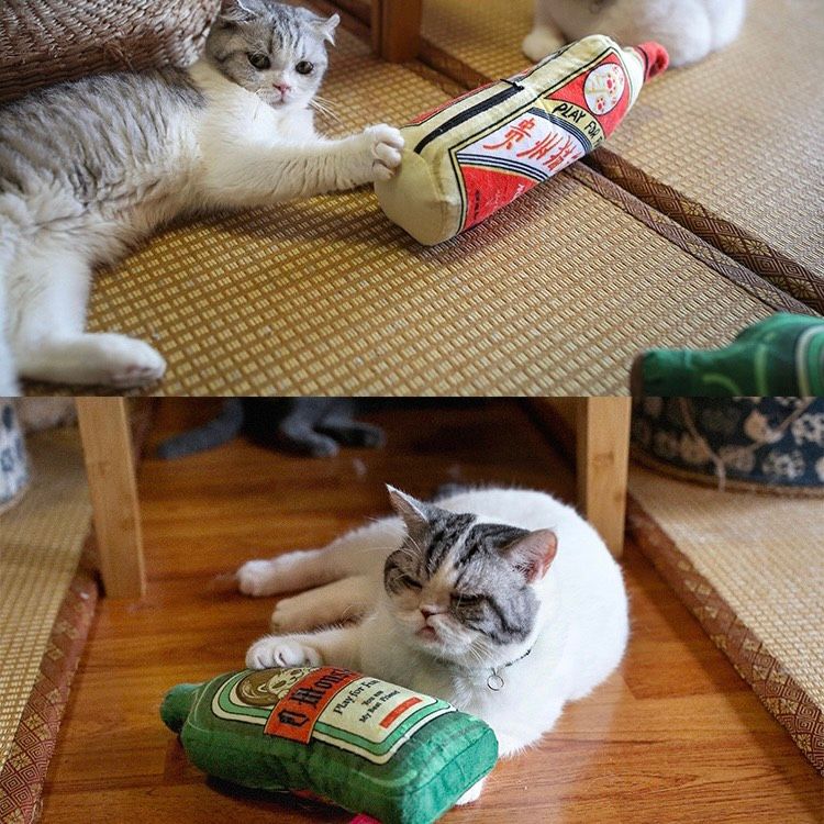  Đồ chơi gối bông nhồi catnip cho mèo 