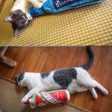  Đồ chơi gối bông nhồi catnip cho mèo 