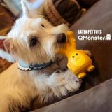  Đồ chơi gặm chút chít cho chó 