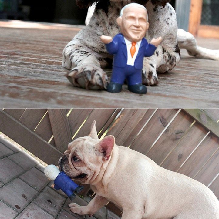  Đồ chơi gặm chút chít cho chó 