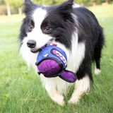  Gấu bông gặm Gigwi cho cún lớn 