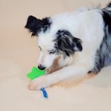  Đồ chơi gum gặm Gigwi Suppa Puppa cho cún 
