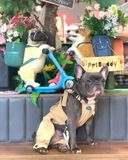  Quần yếm Kaki kem HeyElf 