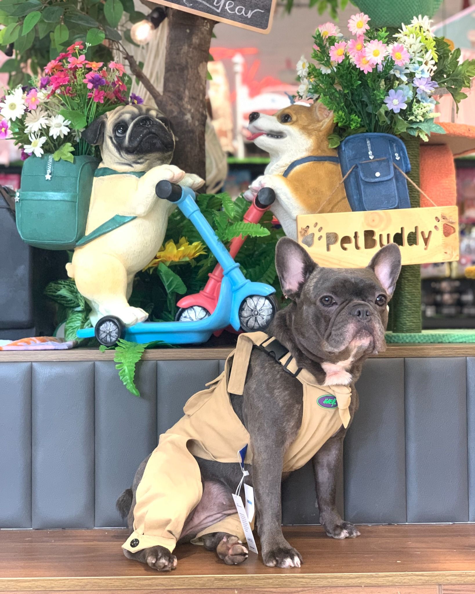  Quần yếm Kaki kem HeyElf 