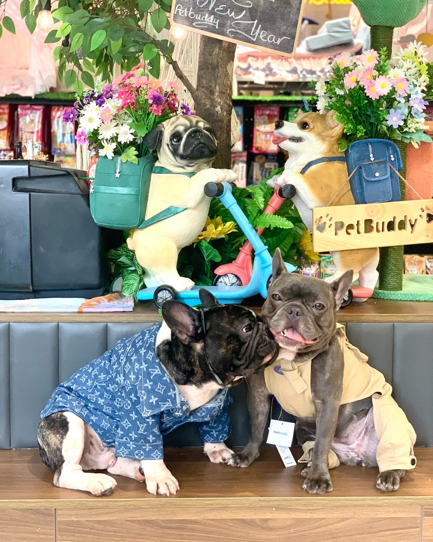  Quần yếm Kaki kem HeyElf 