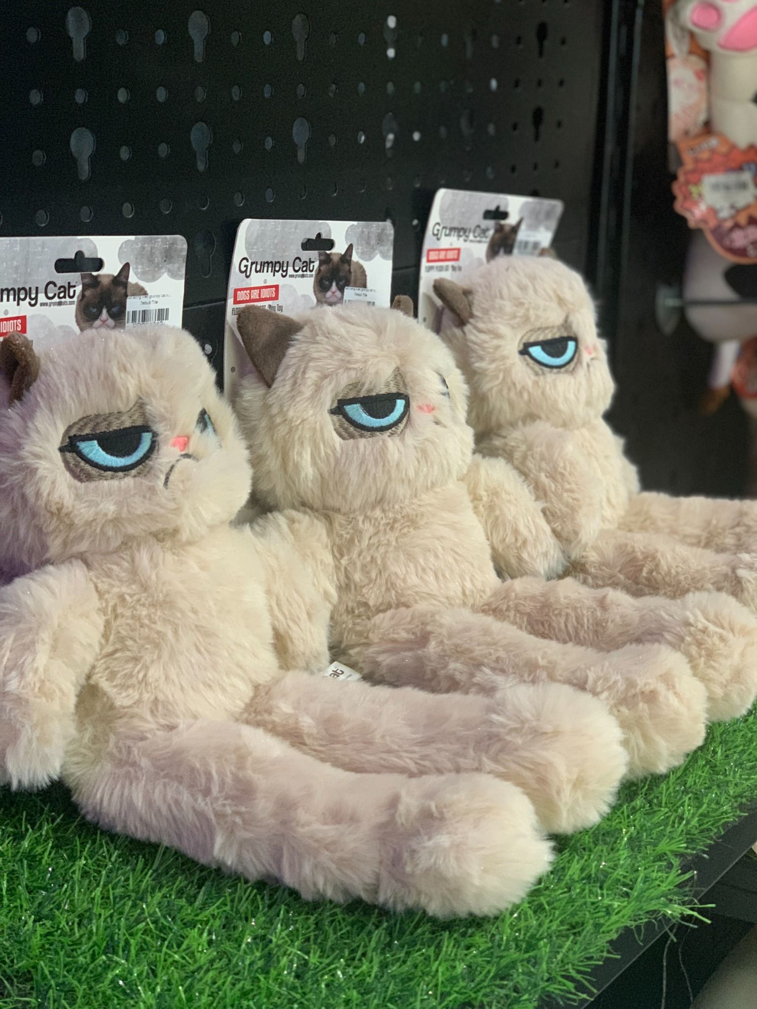  Gối bông mèo grumpy cat nhồi catnip 