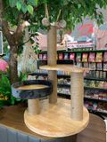  Catree gỗ 1 tầng 1 ổ nằm 