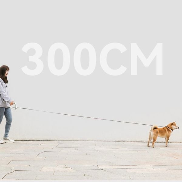  Dây dắt tự động có đèn hình tròn 