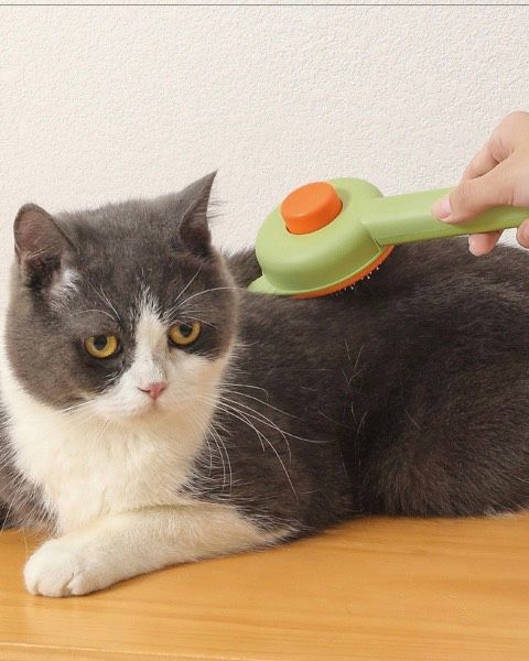  Lược nút bấm tai mèo tròn 