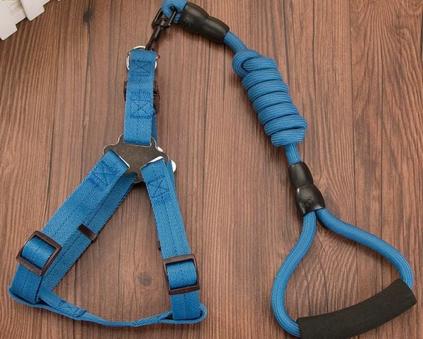  Dây dắt kèm yếm HipiDog 