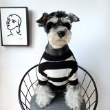  Áo len sọc đen trắng Tommy 