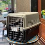  Lồng vận chuyển xám đen 