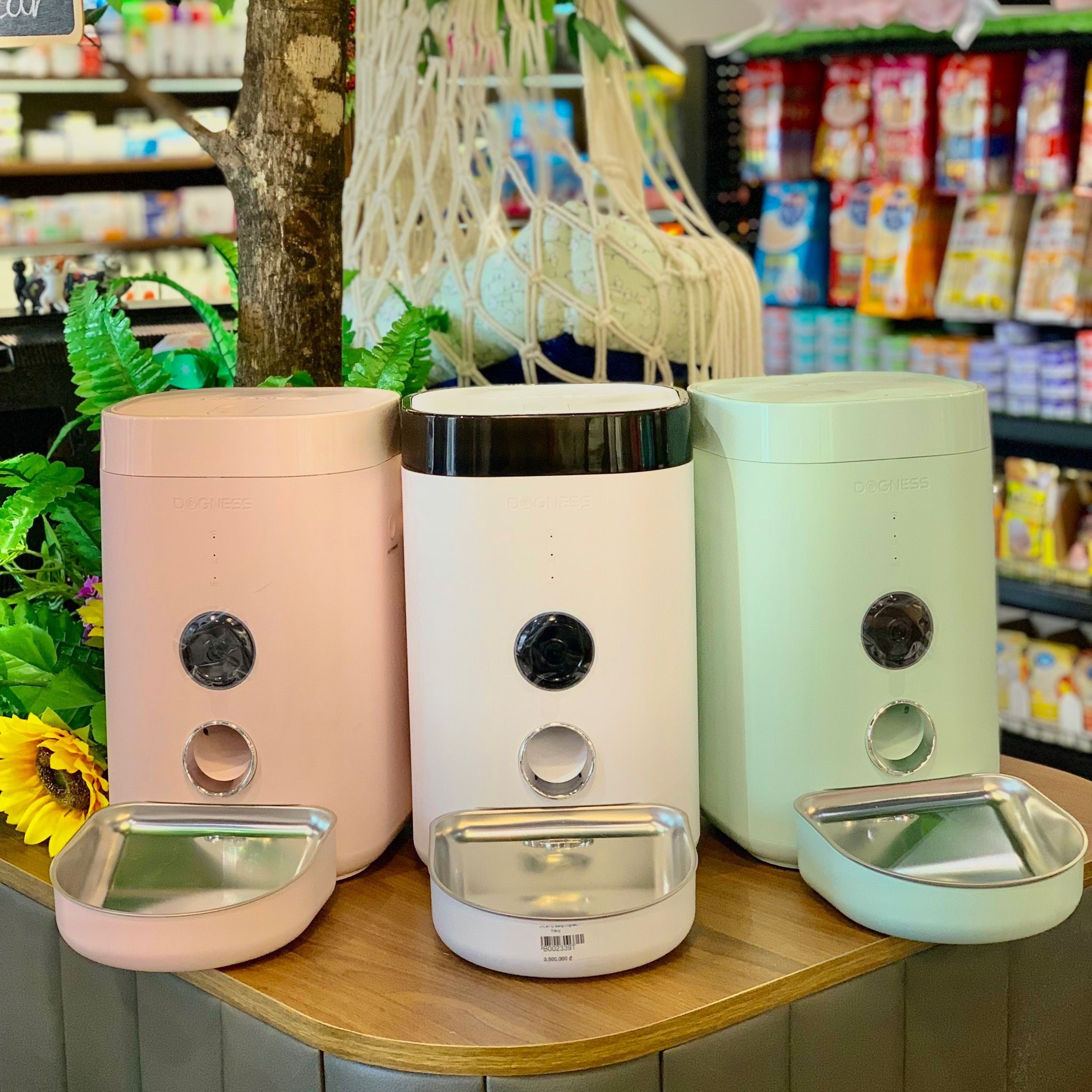  Máy cho ăn tự động Dogness có camera HD Video 