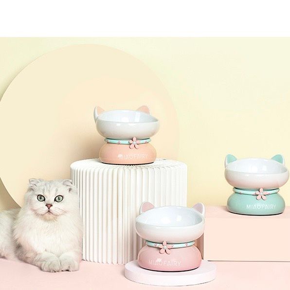  Chén ăn sứ cao hình mèo 